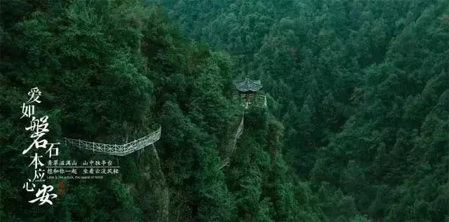 胡衡华：以实干实绩巩固拓展主题教育成果 努力在现代化新重庆建设中走在前列